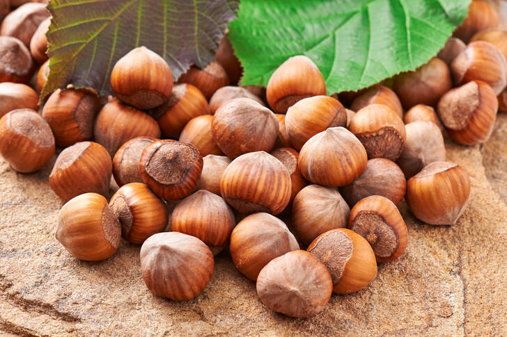 Hazelnuts