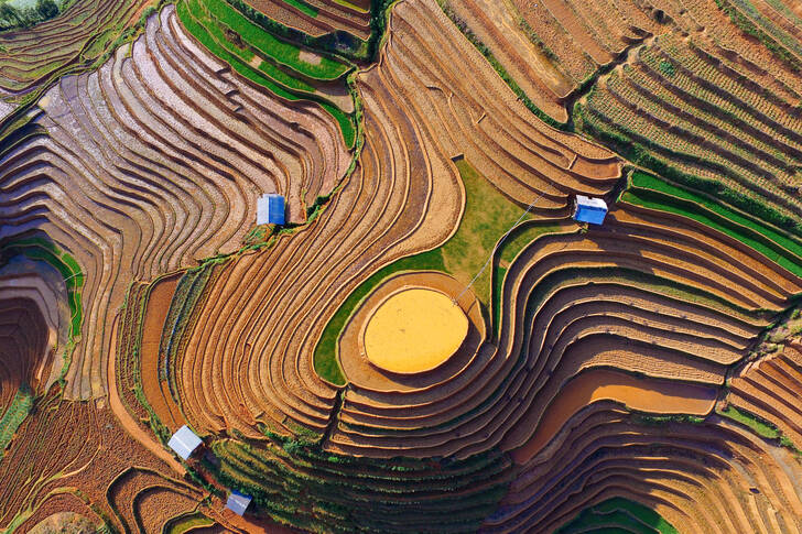 Оризови полета по хълмовете