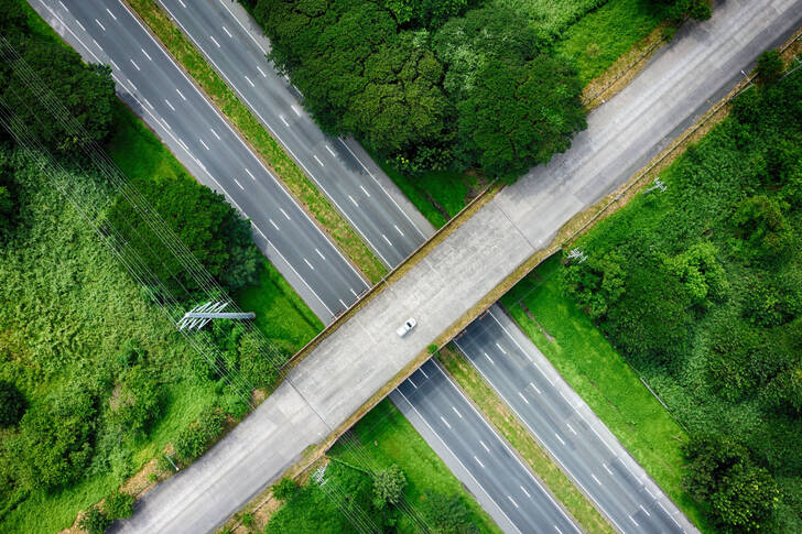 Udsigt ovenfra af motorvejsbroen