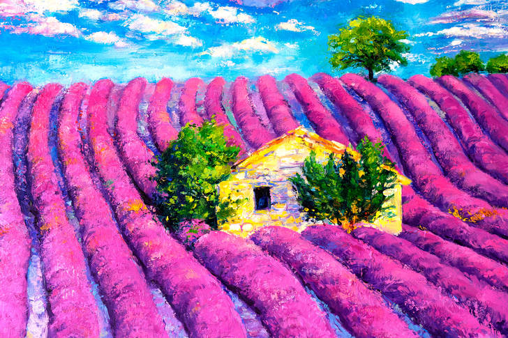 House on a lavender field