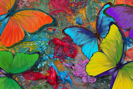 Malování vícebarevnými motýly