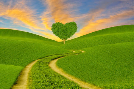 Heart shaped tree on green field