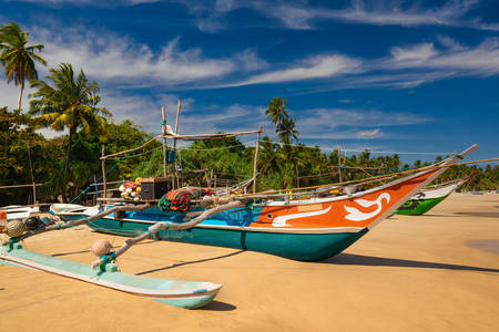 Traditional fishing boats in Sri Lanka