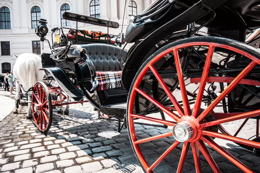 Kočijaš u palači Hofburg