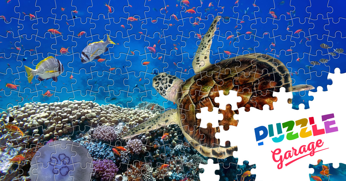 Inhabitants of the sea Jigsaw Puzzle (Animals, Marine life) | Puzzle Garage