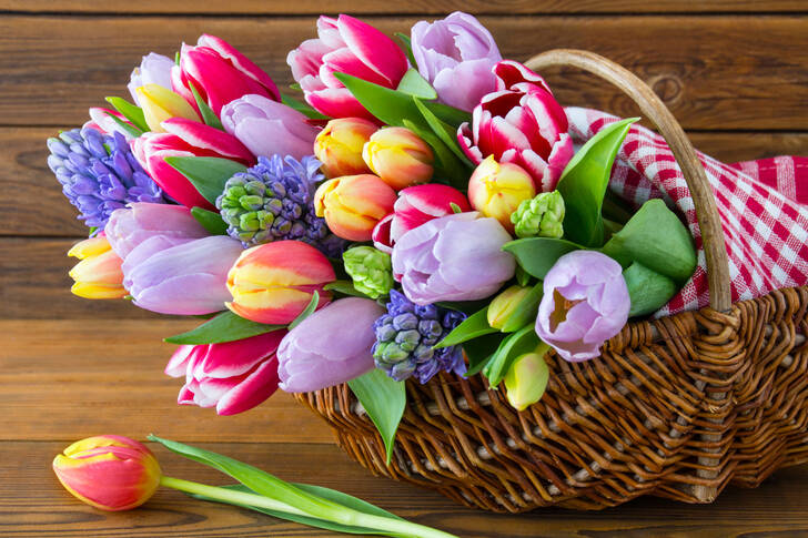 Tulips in a basket