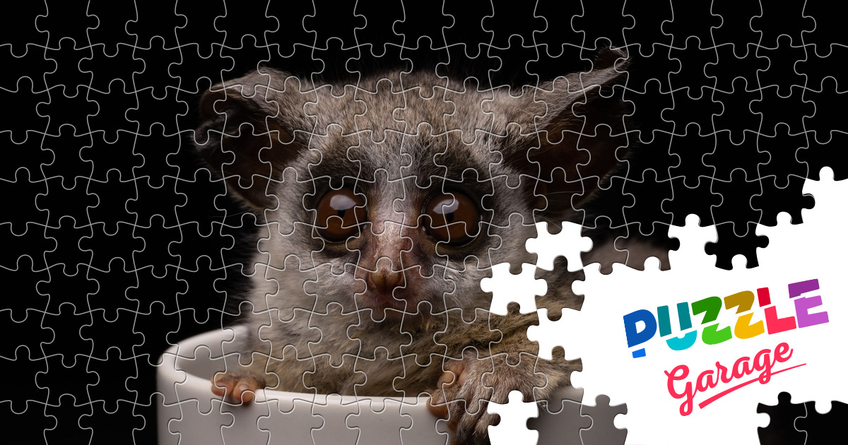 Baby galago Jigsaw Puzzle (Animals, Primates) | Puzzle Garage