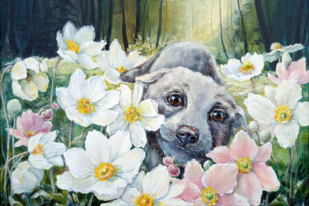 Hund med blommor