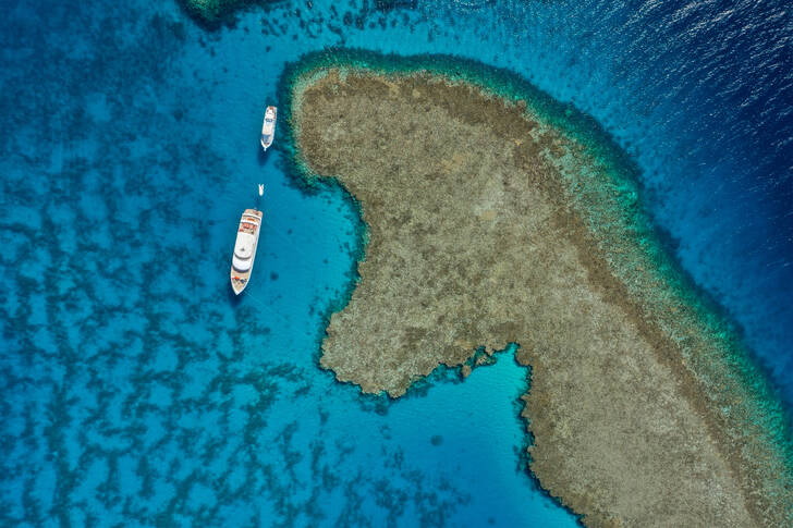 Boats and coral reef