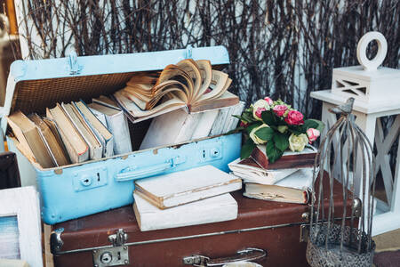 Suitcase and books