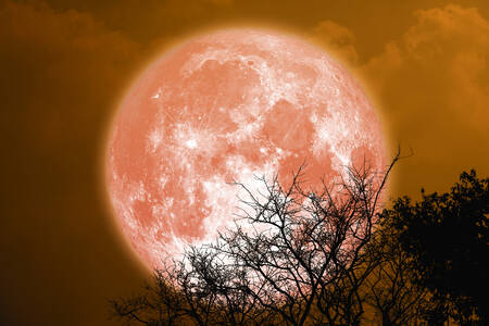 Червона луна