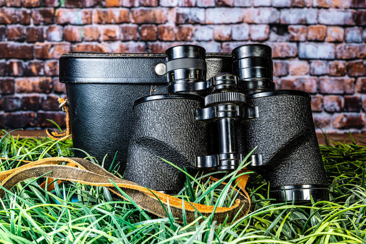 Black binoculars