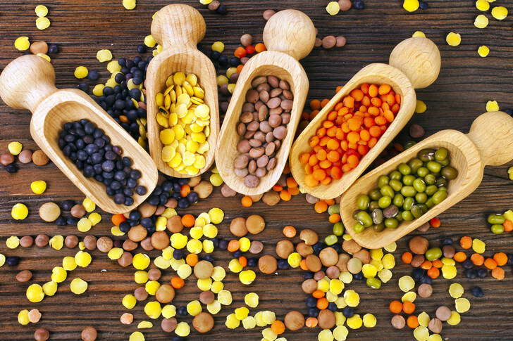 Different varieties of lentils