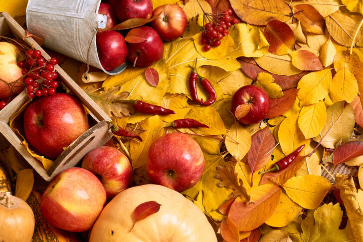 Pommes sur des feuilles d'automne