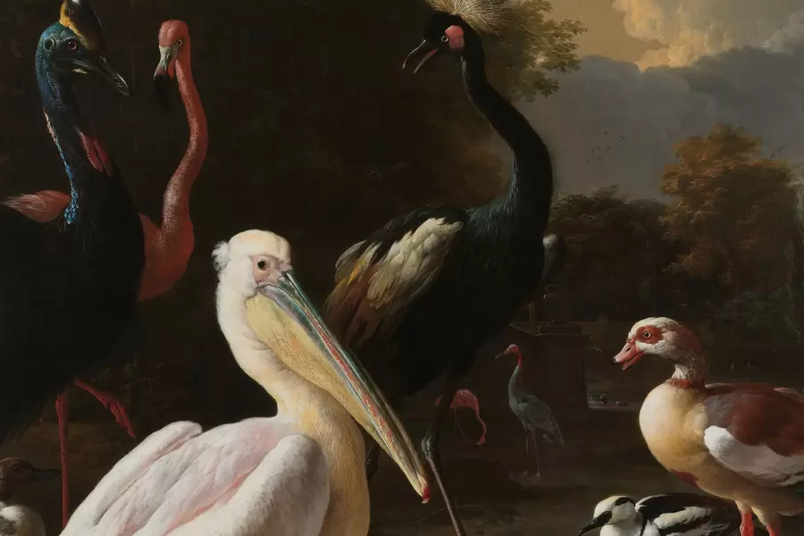 Melchior d'Hondecoeter: "Den flydende fjer"