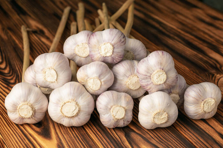 Garlic on a wooden table