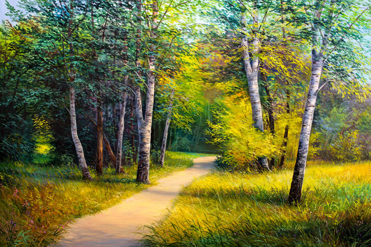 Road in the sunny forest