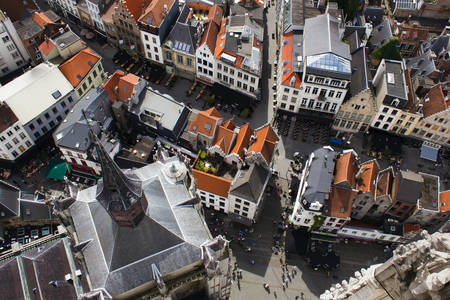 Tetti della città portuale di Anversa