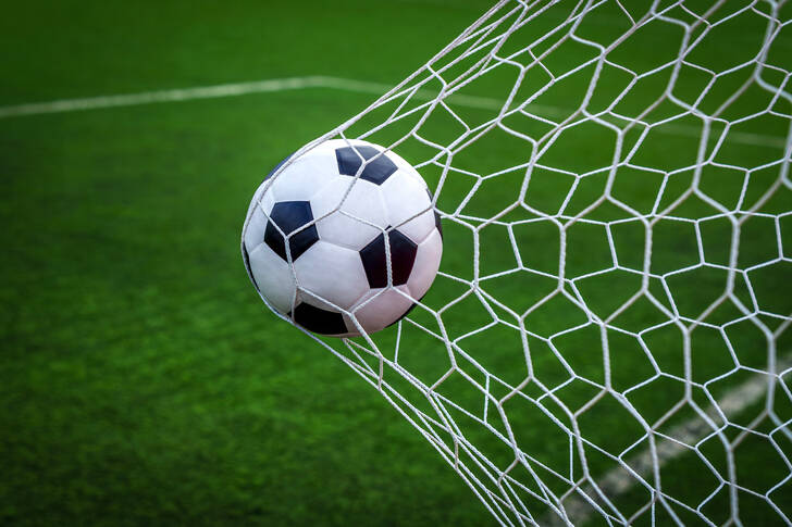 Soccer ball in the goal