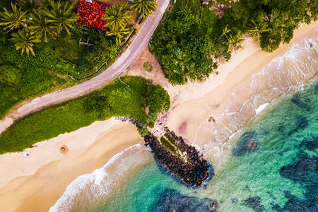 Vue aérienne de la plage tropicale