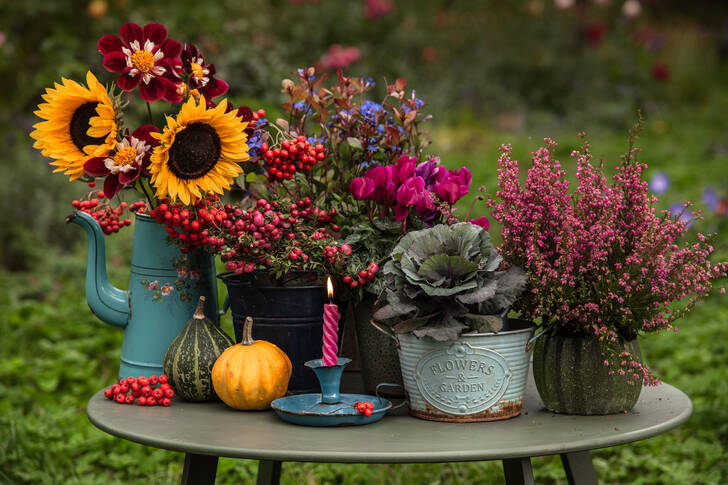 زهور الحديقة على الطاولة