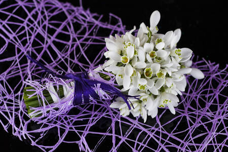 Kytica snežienok na tmavom pozadí