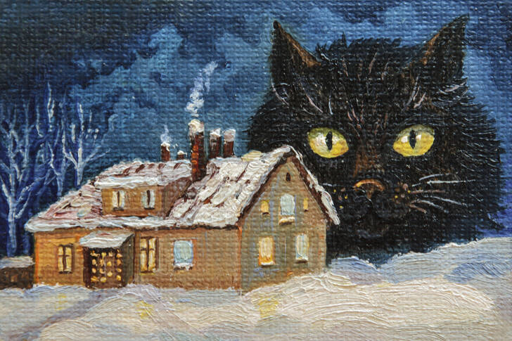 Crna mačka pored zasneženog doma