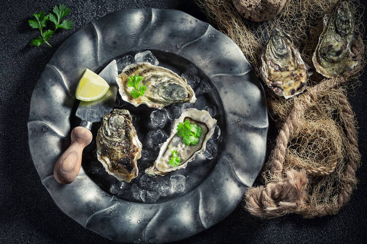Fresh oysters