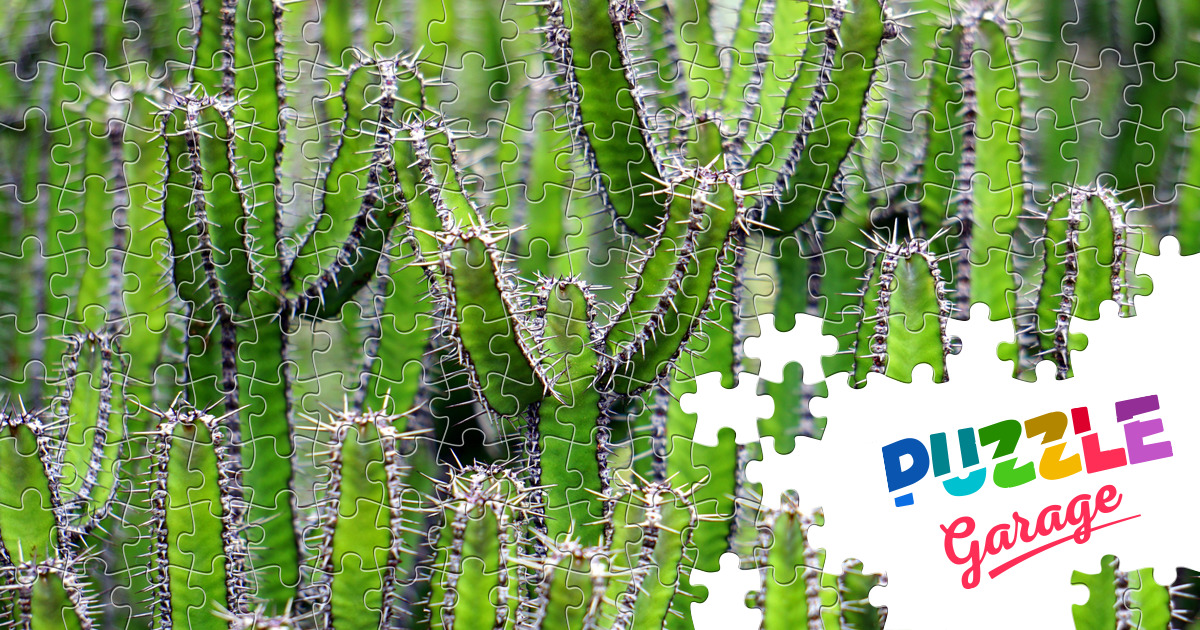 Cactus Jigsaw Puzzle (Plants, Flowers) Puzzle Garage