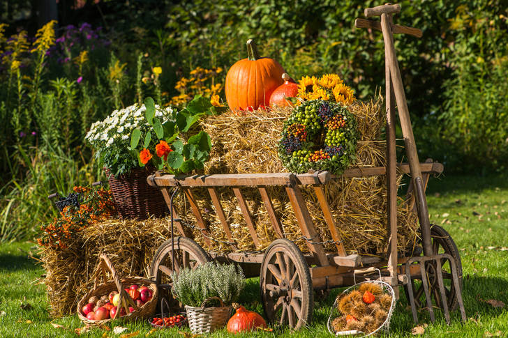 Wagon with autumn flowers and fruits