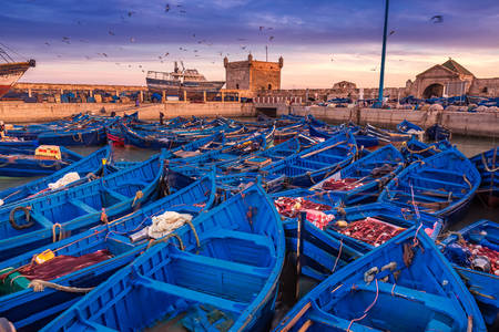 Prístav v Essaouire