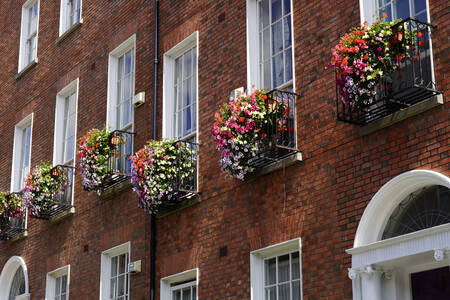 Bár homlokzata Dublin belvárosában