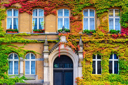The facade of the building covered with vines
