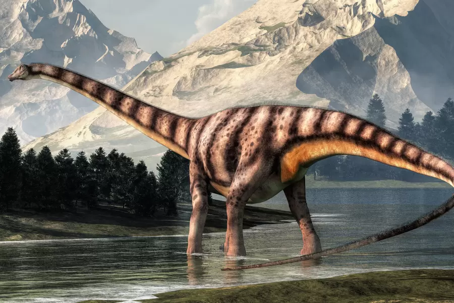 Diplodocus
