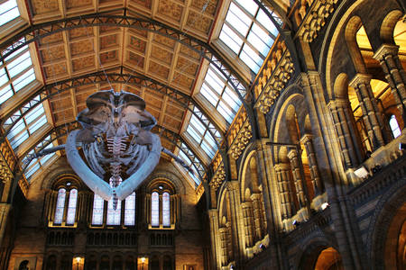Hintze Hall au Musée historique de Londres