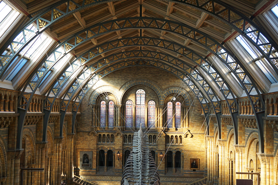 Hintze Hall ved det historiske museet i London