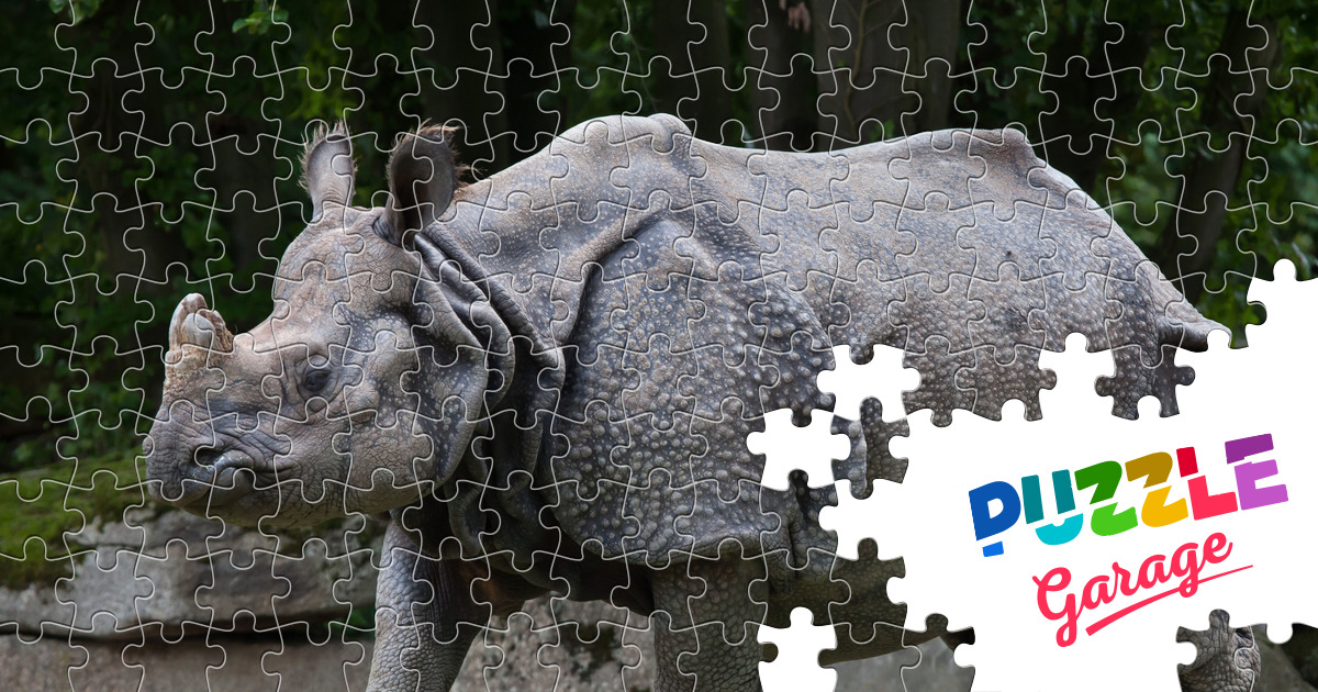 8 Estilo Puzzles De Madeira Urso Rhinoceros Cat Puzzle Início Jogo