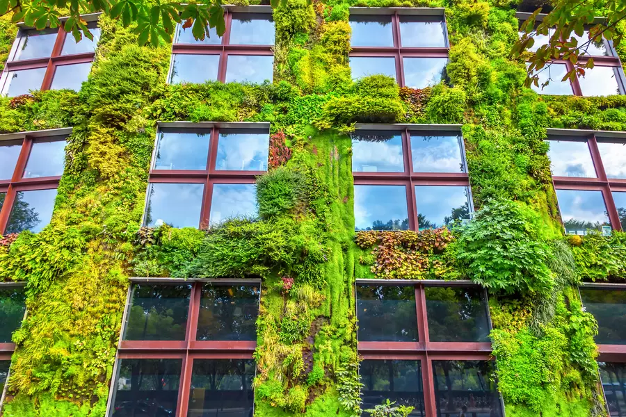 Gevel van een huis met levende planten