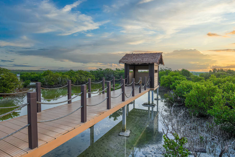 Qatar Jigsaw Puzzles Puzzle Garage