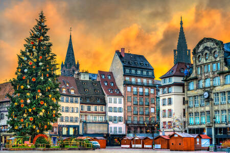 Božićno drvce u Strasbourgu