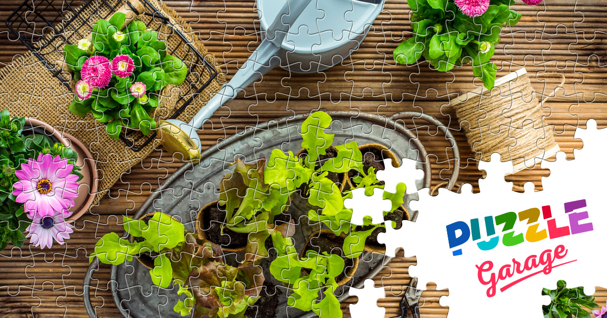 Top view garden flowers Jigsaw Puzzle (Plants, Flowers) Puzzle Garage
