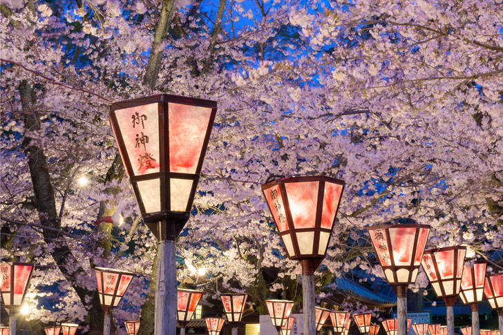 Shizuoka lantern festival