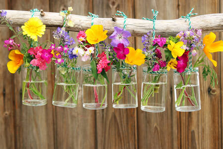 Fleurs dans des vases en verre