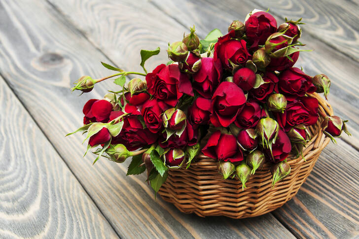 Košara sa crvenim ružama