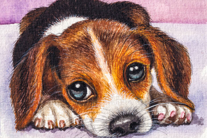 sevimli bir köpek yavrusu portresi