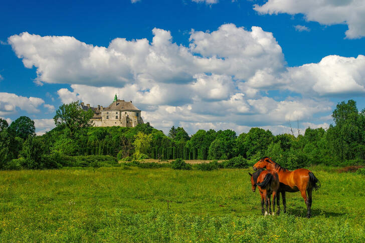Olesko castle on a hill