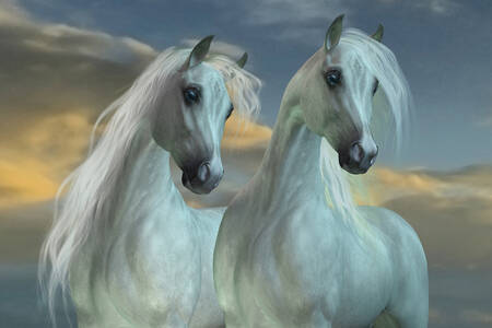 Witte paarden op canvas