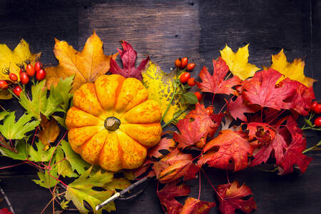 Calabaza en coloridas hojas de otoño