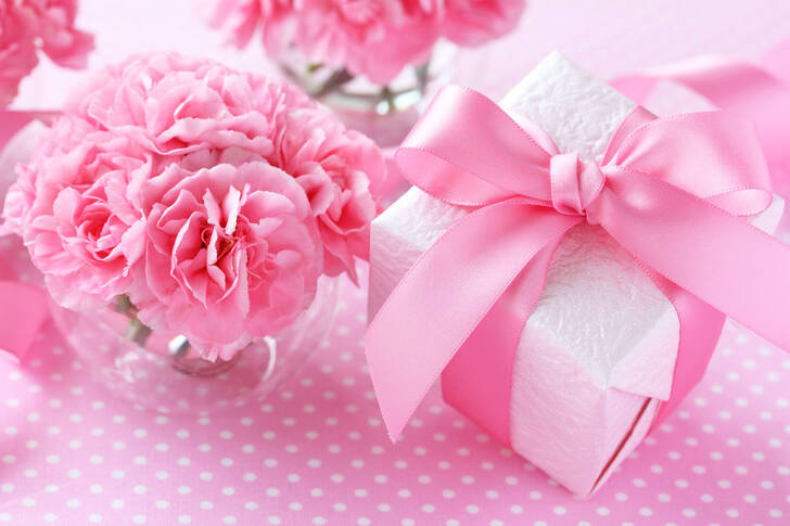 Ružové karafiáty a darček