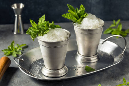 Bourbon with mint and ice